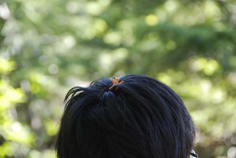 _DSC0357 copy.JPG