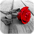 Photo Art - Color Effects1.7.30