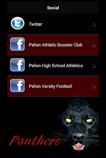 Pelion High School Athletics Screenshots 4