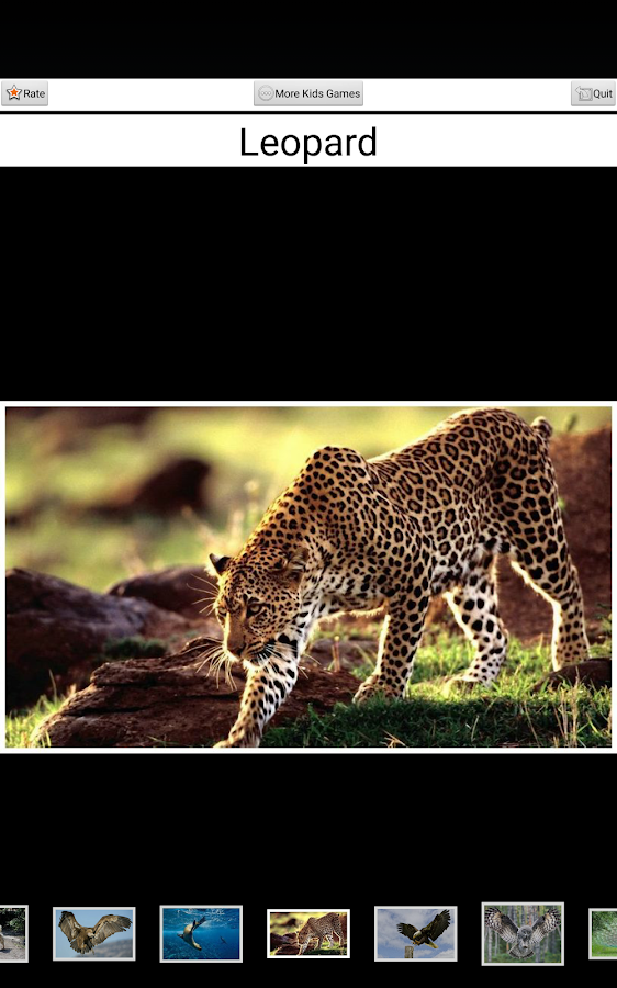 Animal sound - Kids game - screenshot