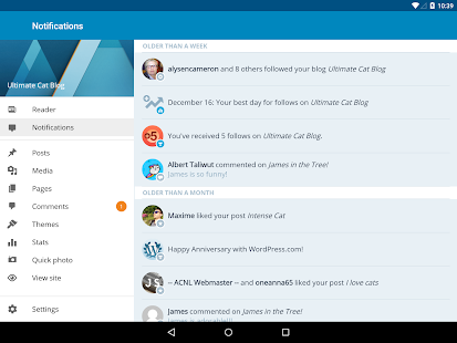 WordPress - screenshot thumbnail