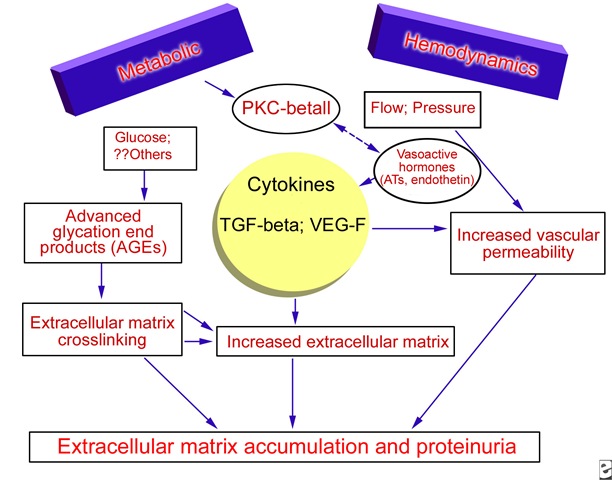 [diabetes pathophysiology[4].jpg]