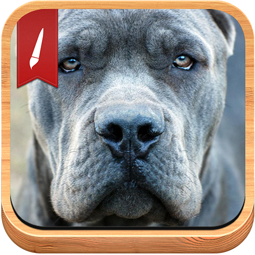 Cane Corso Background LOGO-APP點子