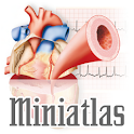 Miniatlas Cardiology