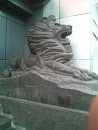 狮子1