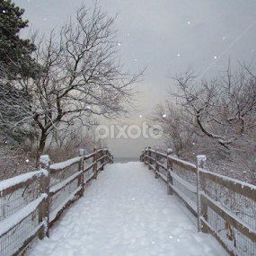 Old Greenwich, CT winter scene. by John Hayes - Landscapes Weather