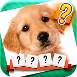 Word and Picture Quiz Apk