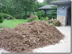 bark chips 001