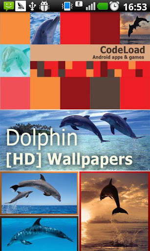 Dolphin [HD] Wallpapers
