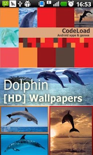 How to install Dolphin [HD] Wallpapers 1.0 apk for bluestacks