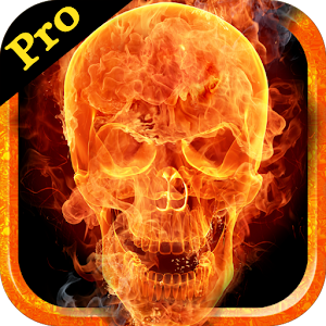 PicFire Fx Pro logo