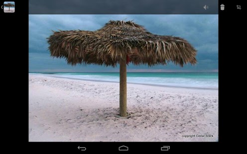 Free Island Life Pro APK
