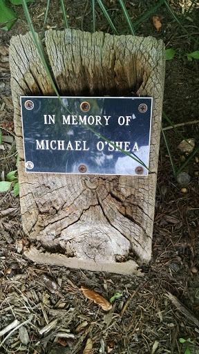 In Memory of Michael O'shea