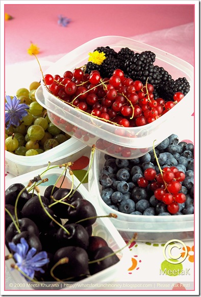 Summer Berries boxes 01 by MeetaK