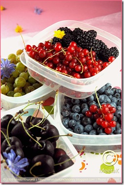 Summer Berries boxes 01 by MeetaK