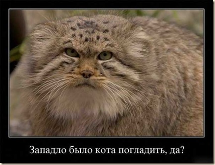 e645b08045f2d7d2de36b33a12a04d43_full