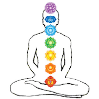 Daily Chakra Balancing Test