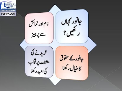 Qurbani - Sunnat ke Mutabiq Screenshots 6