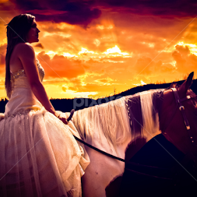 a little Gone with the Wind by Mindee Green - Animals Horses