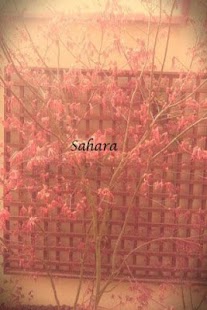 How to download Camera Filter Free patch 1.04 apk for pc