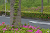 IMGP5773.jpg