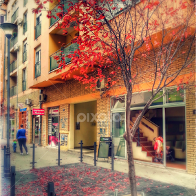 Red autumn in my street by Vladimir Bogovac - City,  Street & Park Street Scenes