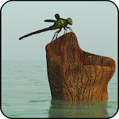 LivingPond Demo Live Wallpaper