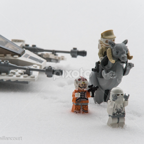 Meanwhile on Hoth... by Stéphane Vaillancourt - Artistic Objects Toys