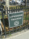 Cavanaugh Triangle