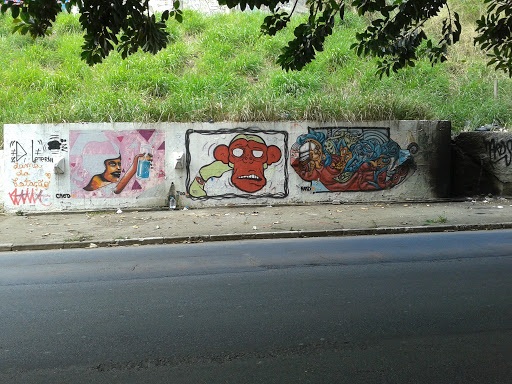 Graffiti Macaco A Sumaré