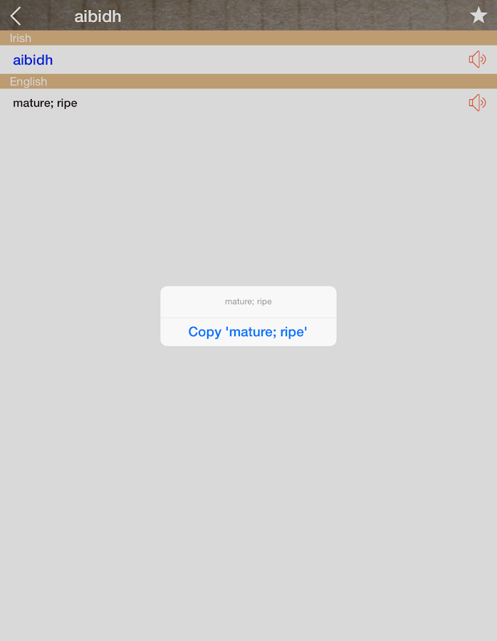 Irish English Dictionary & Translator Free Android Apps on Google Play