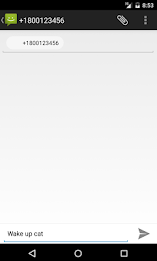 Direct SMS Widget poster 7