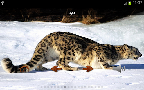 How to install حديقة الحيوانات/Zoo 1.1 apk for android