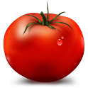 Rajčica logo