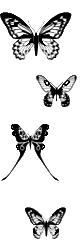 ping252.png