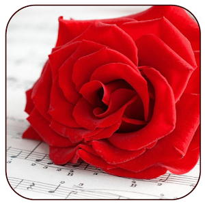 Romantic Pictures for Whatsapp logo