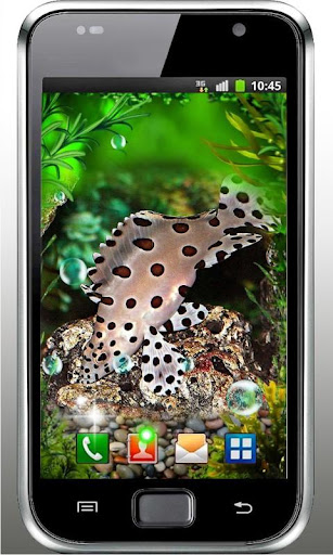 免費下載個人化APP|Aquarium Best live wallpaper app開箱文|APP開箱王