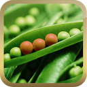 Eat Informed - Food Additives mobile app icon