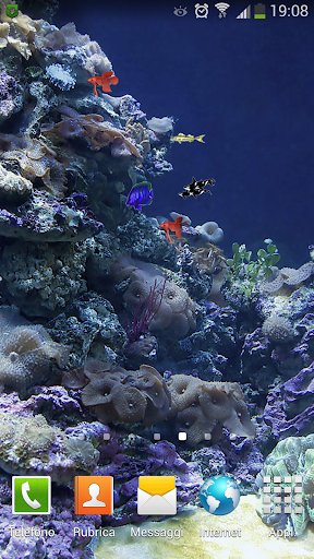 背景動畫水族館親