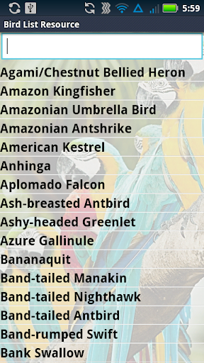 List of Birds