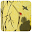 WA-Live Wallpaper + Download on Windows