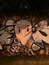 Graffiti Bode Velho
