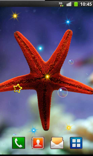 Sea Stars Best live wallpaper