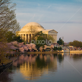 Jefferson Memorial by Michael Sharp - Buildings & Architecture Statues & Monuments