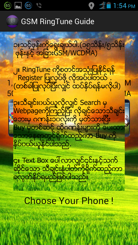GSM Ring Tune Guide - screenshot