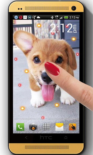 Angry Puppies live wallpaper