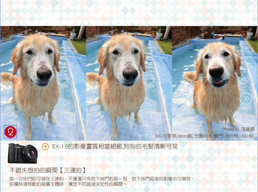 【免費生活App】精彩視界自由掌握EX-10/100小品攝影集-APP點子