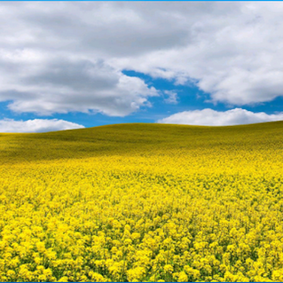The most wonderful nature wallpapers 1680x1050 NO.1 Desktop ...