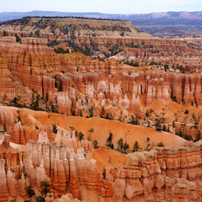 Bryce Canyon Color by Jim Czech - Landscapes Mountains & Hills