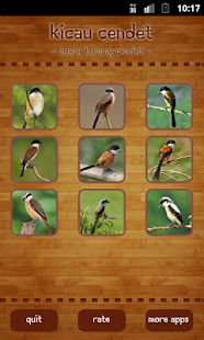 How to mod Lanius schach 1.1 apk for android